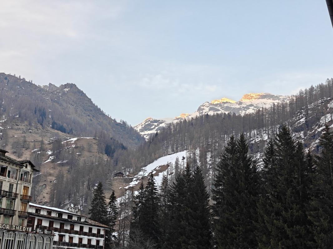 IMG20250308180712