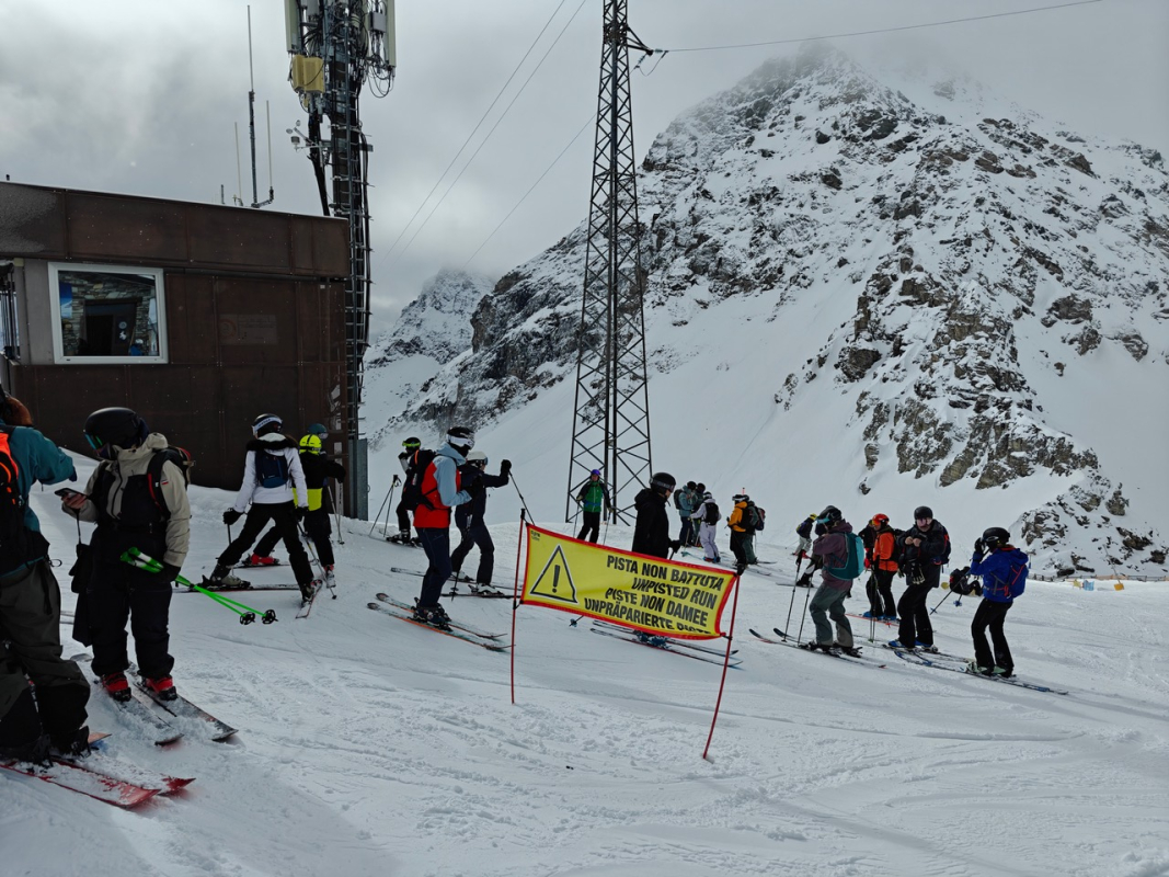 IMG20250311095147